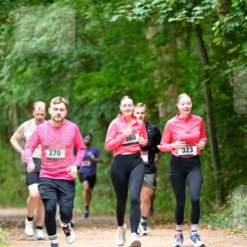 11.10.2026 - Bramfelder Halbmarathon 2026 Dr. Thomas Lammeyer http://msf.ph/oto/10825046 11.10.2026 10:47:17 Laufen 270, 360, 323 meine-sportfotos.de