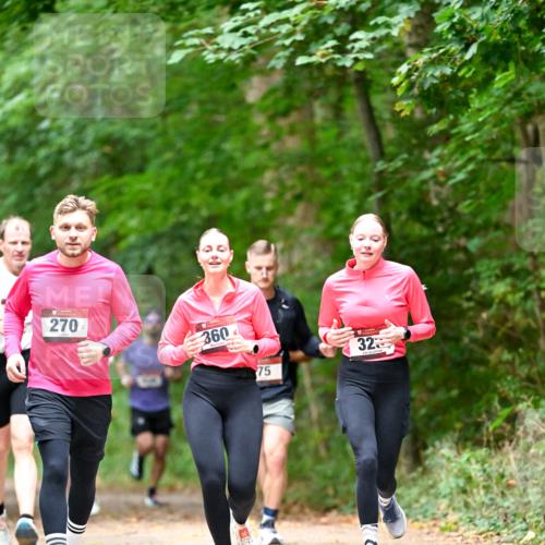 11.10.2026 - Bramfelder Halbmarathon 2026 Dr. Thomas Lammeyer http://msf.ph/oto/10825050 11.10.2026 10:47:18 Laufen 270, 360, 75, 32 meine-sportfotos.de
