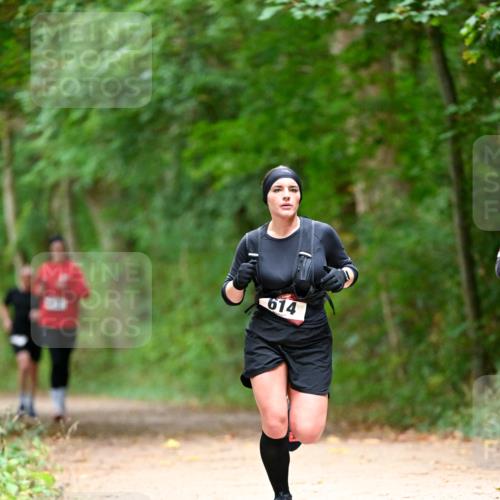 11.10.2026 - Bramfelder Halbmarathon 2026 Dr. Thomas Lammeyer http://msf.ph/oto/10825089 11.10.2026 10:47:36 Laufen 614 meine-sportfotos.de