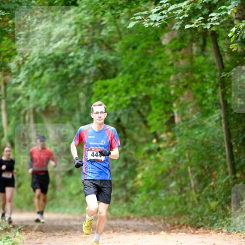 11.10.2026 - Bramfelder Halbmarathon 2026 Dr. Thomas Lammeyer http://msf.ph/oto/10825153 11.10.2026 10:48:00 Laufen 444 meine-sportfotos.de