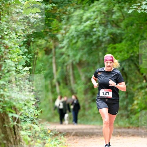 11.10.2026 - Bramfelder Halbmarathon 2026 Dr. Thomas Lammeyer http://msf.ph/oto/10825236 11.10.2026 10:48:39 Laufen 121 meine-sportfotos.de