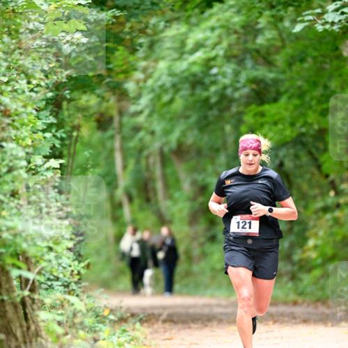 11.10.2026 - Bramfelder Halbmarathon 2026 Dr. Thomas Lammeyer http://msf.ph/oto/10825237 11.10.2026 10:48:39 Laufen 121 meine-sportfotos.de