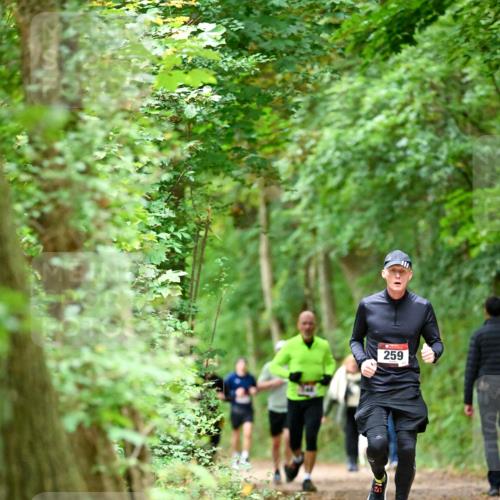 11.10.2026 - Bramfelder Halbmarathon 2026 Dr. Thomas Lammeyer http://msf.ph/oto/10825252 11.10.2026 10:48:50 Laufen 259 meine-sportfotos.de