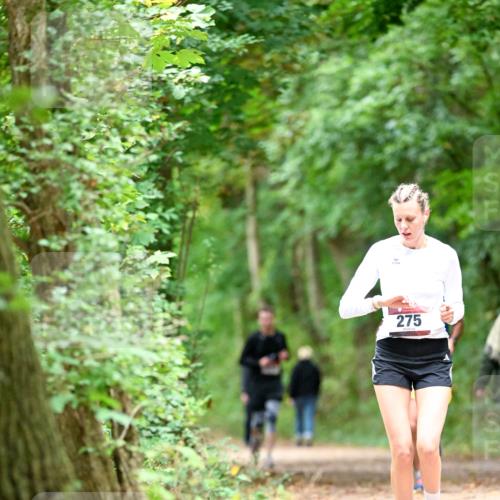 11.10.2026 - Bramfelder Halbmarathon 2026 Dr. Thomas Lammeyer http://msf.ph/oto/10825338 11.10.2026 10:49:10 Laufen 275 meine-sportfotos.de