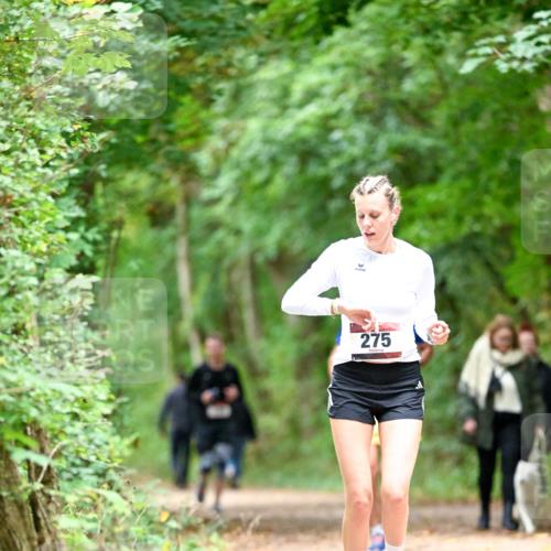 11.10.2026 - Bramfelder Halbmarathon 2026 Dr. Thomas Lammeyer http://msf.ph/oto/10825339 11.10.2026 10:49:11 Laufen 275 meine-sportfotos.de