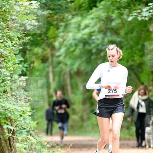 11.10.2026 - Bramfelder Halbmarathon 2026 Dr. Thomas Lammeyer http://msf.ph/oto/10825341 11.10.2026 10:49:11 Laufen 2, 5 meine-sportfotos.de