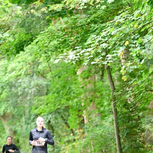 11.10.2026 - Bramfelder Halbmarathon 2026 Dr. Thomas Lammeyer http://msf.ph/oto/10825408 11.10.2026 10:49:53 Laufen 753 meine-sportfotos.de
