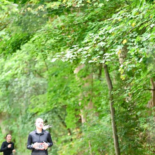 11.10.2026 - Bramfelder Halbmarathon 2026 Dr. Thomas Lammeyer http://msf.ph/oto/10825410 11.10.2026 10:49:53 Laufen 122 meine-sportfotos.de