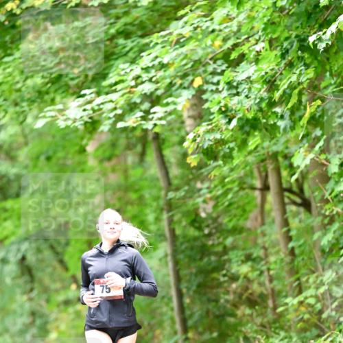 11.10.2026 - Bramfelder Halbmarathon 2026 Dr. Thomas Lammeyer http://msf.ph/oto/10825426 11.10.2026 10:49:56 Laufen 75 meine-sportfotos.de