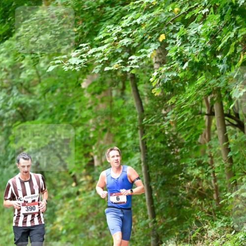 11.10.2026 - Bramfelder Halbmarathon 2026 Dr. Thomas Lammeyer http://msf.ph/oto/10825450 11.10.2026 10:50:04 Laufen 390, 6 meine-sportfotos.de