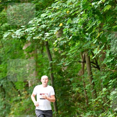 11.10.2026 - Bramfelder Halbmarathon 2026 Dr. Thomas Lammeyer http://msf.ph/oto/10825516 11.10.2026 10:50:20 Laufen  meine-sportfotos.de