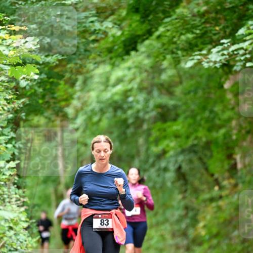 11.10.2026 - Bramfelder Halbmarathon 2026 Dr. Thomas Lammeyer http://msf.ph/oto/10825530 11.10.2026 10:50:23 Laufen 83 meine-sportfotos.de
