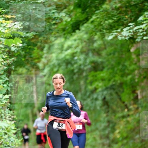 11.10.2026 - Bramfelder Halbmarathon 2026 Dr. Thomas Lammeyer http://msf.ph/oto/10825531 11.10.2026 10:50:23 Laufen 83 meine-sportfotos.de