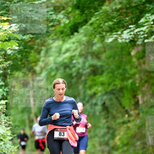 11.10.2026 - Bramfelder Halbmarathon 2026 Dr. Thomas Lammeyer http://msf.ph/oto/10825533 11.10.2026 10:50:23 Laufen 83 meine-sportfotos.de