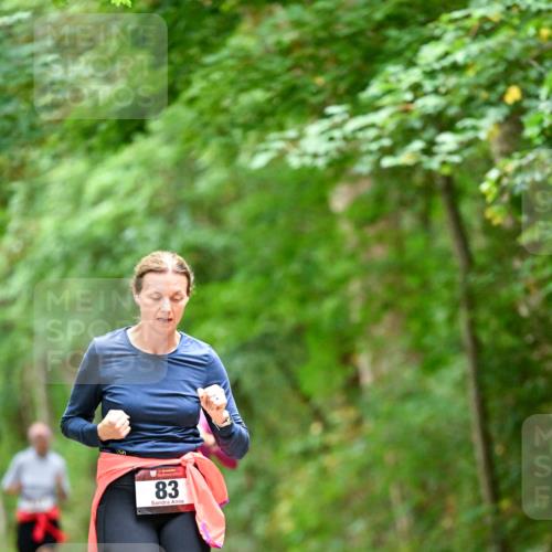 11.10.2026 - Bramfelder Halbmarathon 2026 Dr. Thomas Lammeyer http://msf.ph/oto/10825541 11.10.2026 10:50:24 Laufen 83 meine-sportfotos.de