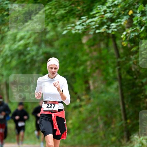 11.10.2026 - Bramfelder Halbmarathon 2026 Dr. Thomas Lammeyer http://msf.ph/oto/10825565 11.10.2026 10:50:31 Laufen 227 meine-sportfotos.de