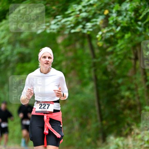 11.10.2026 - Bramfelder Halbmarathon 2026 Dr. Thomas Lammeyer http://msf.ph/oto/10825572 11.10.2026 10:50:32 Laufen 227 meine-sportfotos.de