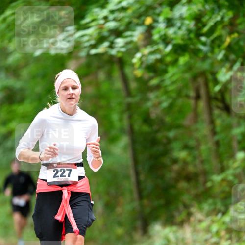 11.10.2026 - Bramfelder Halbmarathon 2026 Dr. Thomas Lammeyer http://msf.ph/oto/10825574 11.10.2026 10:50:33 Laufen 227 meine-sportfotos.de