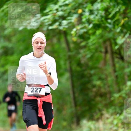 11.10.2026 - Bramfelder Halbmarathon 2026 Dr. Thomas Lammeyer http://msf.ph/oto/10825575 11.10.2026 10:50:33 Laufen 227 meine-sportfotos.de