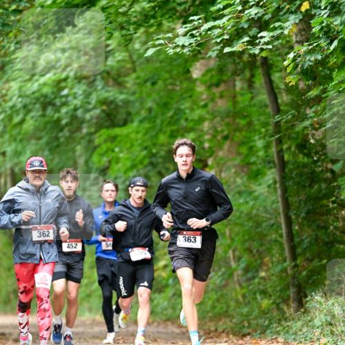 11.10.2026 - Bramfelder Halbmarathon 2026 Dr. Thomas Lammeyer http://msf.ph/oto/10825581 11.10.2026 10:50:36 Laufen 362, 452, 56, 605, 363 meine-sportfotos.de