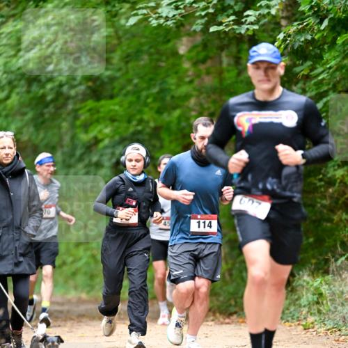 11.10.2026 - Bramfelder Halbmarathon 2026 Dr. Thomas Lammeyer http://msf.ph/oto/10825750 11.10.2026 10:51:21 Laufen 70, 114, 607 meine-sportfotos.de