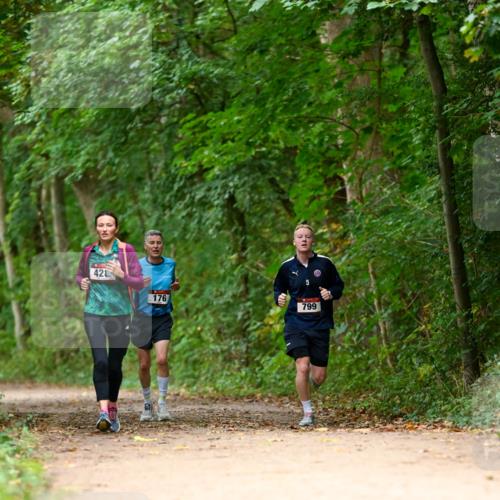 11.10.2026 - Bramfelder Halbmarathon 2026 Dr. Thomas Lammeyer http://msf.ph/oto/10825870 11.10.2026 10:51:59 Laufen 42, 176, 799 meine-sportfotos.de