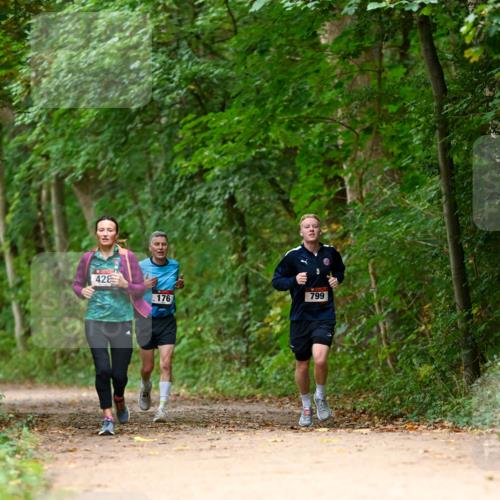 11.10.2026 - Bramfelder Halbmarathon 2026 Dr. Thomas Lammeyer http://msf.ph/oto/10825871 11.10.2026 10:51:59 Laufen 42, 799, 176 meine-sportfotos.de