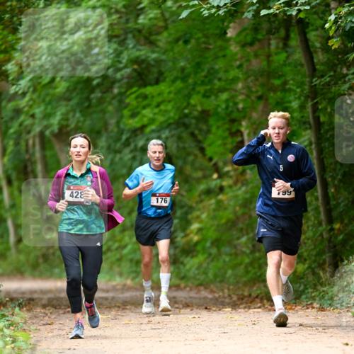 11.10.2026 - Bramfelder Halbmarathon 2026 Dr. Thomas Lammeyer http://msf.ph/oto/10825872 11.10.2026 10:52:02 Laufen 428, 5, 176, 99 meine-sportfotos.de
