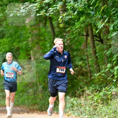 11.10.2026 - Bramfelder Halbmarathon 2026 Dr. Thomas Lammeyer http://msf.ph/oto/10825880 11.10.2026 10:52:03 Laufen 176, 5, 799 meine-sportfotos.de