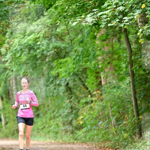 11.10.2026 - Bramfelder Halbmarathon 2026 Dr. Thomas Lammeyer http://msf.ph/oto/10825906 11.10.2026 10:52:12 Laufen 44 meine-sportfotos.de