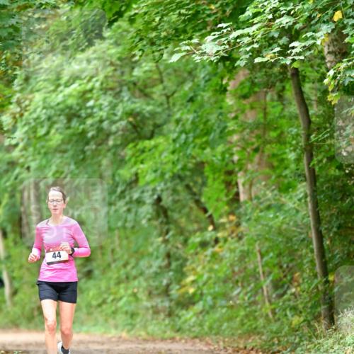 11.10.2026 - Bramfelder Halbmarathon 2026 Dr. Thomas Lammeyer http://msf.ph/oto/10825907 11.10.2026 10:52:13 Laufen 44 meine-sportfotos.de