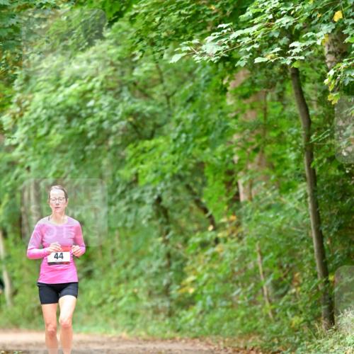 11.10.2026 - Bramfelder Halbmarathon 2026 Dr. Thomas Lammeyer http://msf.ph/oto/10825908 11.10.2026 10:52:13 Laufen 44 meine-sportfotos.de