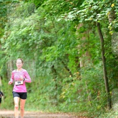 11.10.2026 - Bramfelder Halbmarathon 2026 Dr. Thomas Lammeyer http://msf.ph/oto/10825911 11.10.2026 10:52:13 Laufen 44 meine-sportfotos.de