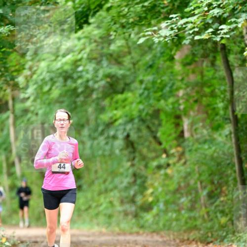 11.10.2026 - Bramfelder Halbmarathon 2026 Dr. Thomas Lammeyer http://msf.ph/oto/10825919 11.10.2026 10:52:14 Laufen 44 meine-sportfotos.de