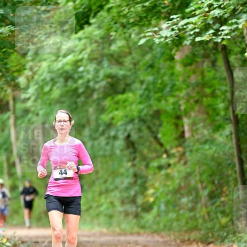 11.10.2026 - Bramfelder Halbmarathon 2026 Dr. Thomas Lammeyer http://msf.ph/oto/10825922 11.10.2026 10:52:15 Laufen 44 meine-sportfotos.de