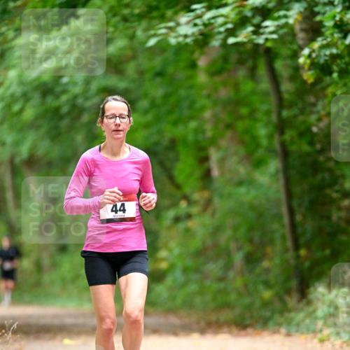 11.10.2026 - Bramfelder Halbmarathon 2026 Dr. Thomas Lammeyer http://msf.ph/oto/10825929 11.10.2026 10:52:16 Laufen 44 meine-sportfotos.de