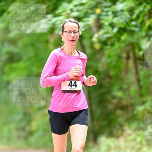 11.10.2026 - Bramfelder Halbmarathon 2026 Dr. Thomas Lammeyer http://msf.ph/oto/10825940 11.10.2026 10:52:17 Laufen 44 meine-sportfotos.de