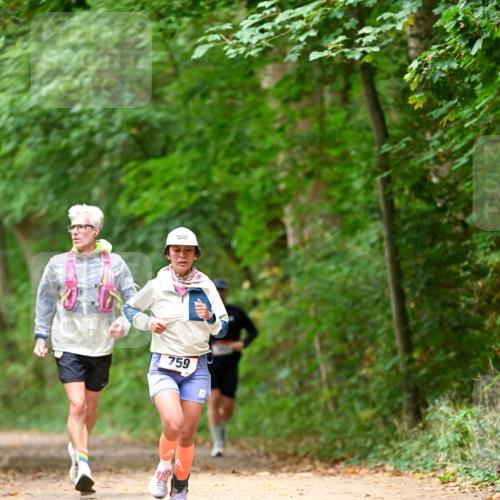 11.10.2026 - Bramfelder Halbmarathon 2026 Dr. Thomas Lammeyer http://msf.ph/oto/10825950 11.10.2026 10:52:27 Laufen 759 meine-sportfotos.de