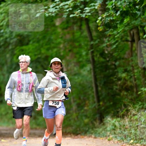 11.10.2026 - Bramfelder Halbmarathon 2026 Dr. Thomas Lammeyer http://msf.ph/oto/10825959 11.10.2026 10:52:28 Laufen 759 meine-sportfotos.de