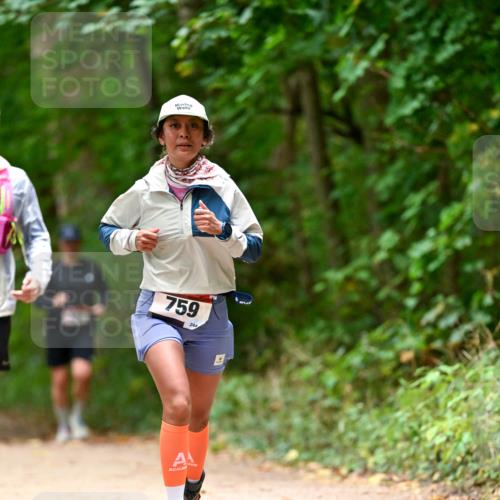 11.10.2026 - Bramfelder Halbmarathon 2026 Dr. Thomas Lammeyer http://msf.ph/oto/10825971 11.10.2026 10:52:29 Laufen 759, 244 meine-sportfotos.de