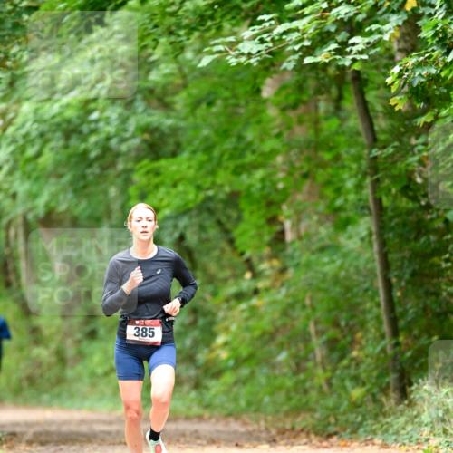 11.10.2026 - Bramfelder Halbmarathon 2026 Dr. Thomas Lammeyer http://msf.ph/oto/10826013 11.10.2026 10:53:10 Laufen 385 meine-sportfotos.de