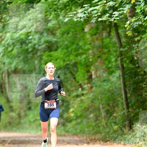 11.10.2026 - Bramfelder Halbmarathon 2026 Dr. Thomas Lammeyer http://msf.ph/oto/10826014 11.10.2026 10:53:11 Laufen 385 meine-sportfotos.de