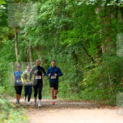 11.10.2026 - Bramfelder Halbmarathon 2026 Dr. Thomas Lammeyer http://msf.ph/oto/10826033 11.10.2026 10:53:17 Laufen 69, 195, 539, 116 meine-sportfotos.de