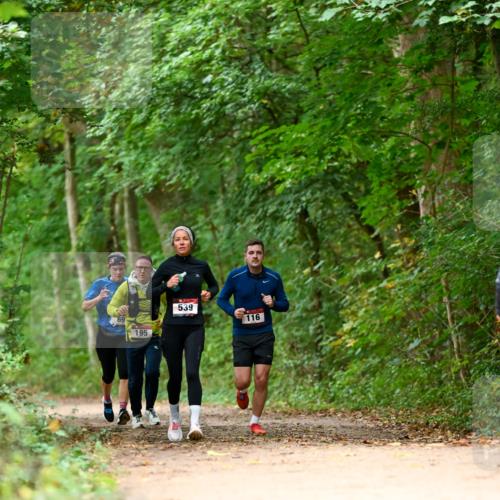 11.10.2026 - Bramfelder Halbmarathon 2026 Dr. Thomas Lammeyer http://msf.ph/oto/10826042 11.10.2026 10:53:19 Laufen 69, 195, 539, 116 meine-sportfotos.de