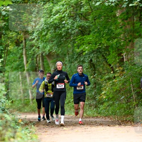 11.10.2026 - Bramfelder Halbmarathon 2026 Dr. Thomas Lammeyer http://msf.ph/oto/10826047 11.10.2026 10:53:19 Laufen 195, 539, 116 meine-sportfotos.de