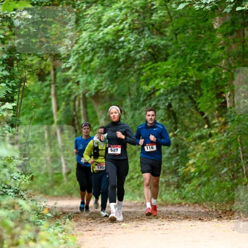 11.10.2026 - Bramfelder Halbmarathon 2026 Dr. Thomas Lammeyer http://msf.ph/oto/10826049 11.10.2026 10:53:20 Laufen 195, 539, 116 meine-sportfotos.de