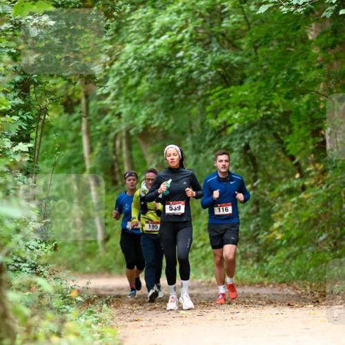 11.10.2026 - Bramfelder Halbmarathon 2026 Dr. Thomas Lammeyer http://msf.ph/oto/10826051 11.10.2026 10:53:20 Laufen 195, 539, 116 meine-sportfotos.de