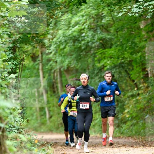 11.10.2026 - Bramfelder Halbmarathon 2026 Dr. Thomas Lammeyer http://msf.ph/oto/10826055 11.10.2026 10:53:21 Laufen 195, 539, 116 meine-sportfotos.de
