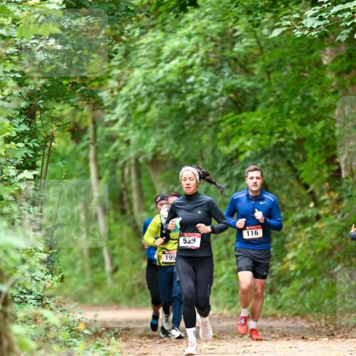 11.10.2026 - Bramfelder Halbmarathon 2026 Dr. Thomas Lammeyer http://msf.ph/oto/10826057 11.10.2026 10:53:21 Laufen 195, 539, 116 meine-sportfotos.de