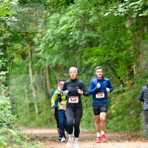 11.10.2026 - Bramfelder Halbmarathon 2026 Dr. Thomas Lammeyer http://msf.ph/oto/10826060 11.10.2026 10:53:21 Laufen 195, 539, 116 meine-sportfotos.de